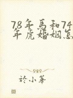 78年马和74年虎婚姻怎么样