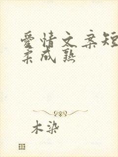 爱情文案短句温柔成熟