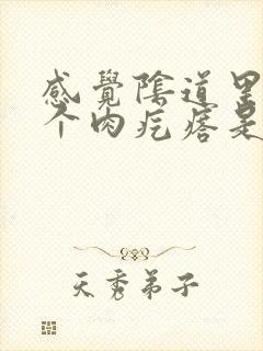 感觉阴道里面有个肉疙瘩是怎么回事