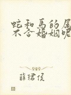 蛇和马的属相合不合婚姻呢