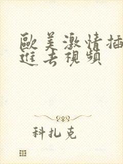 欧美激情插插插进去视频