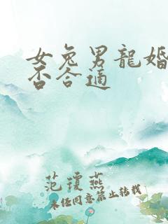 女兔男龙婚配是否合适