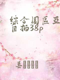 综合图区亚洲偷自拍38p