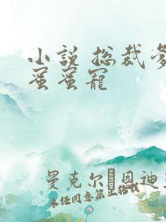 小说 总裁爹地蜜蜜宠