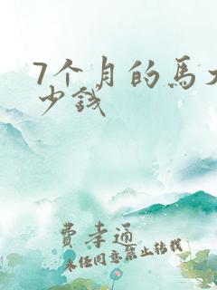 7个月的马犬多少钱