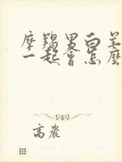 摩羯男白羊女在一起会怎么样