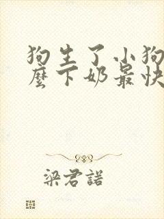 狗生了小狗吃什么下奶最快最多