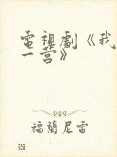 电视剧《我的特一营》