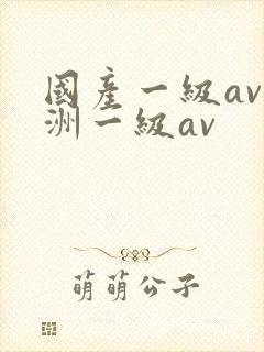 国产一级av亚洲一级av