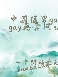 中国猛男gaygay无套网站