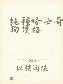 纯种哈士奇犬小狗价格