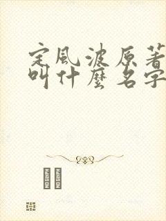 定风波原著小说叫什么名字