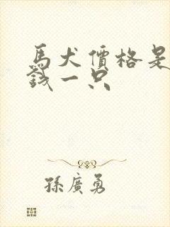 马犬价格是多少钱一只