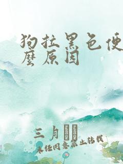 狗拉黑色便是什么原因