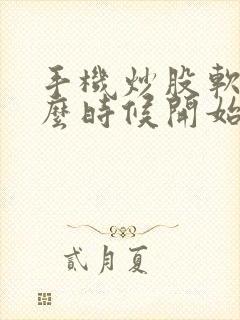 手机炒股软件什么时候开始的