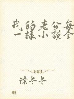 我的老公每天不一样小说全文免费阅读