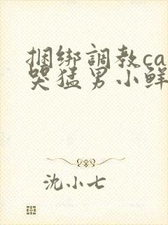 捆绑调教cao哭猛男小鲜肉0