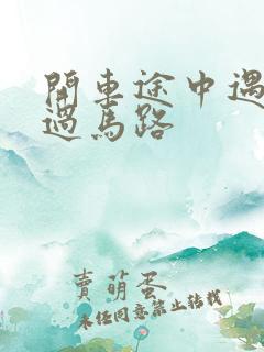 开车途中遇到蛇过马路