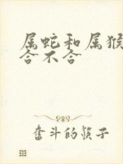 属蛇和属猴子的合不合