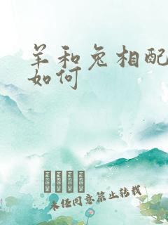 羊和兔相配婚姻如何