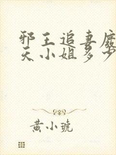 邪王追妻废材逆天小姐多少字