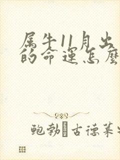 属牛11月出生的命运怎么样