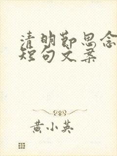 清明节思念亲人短句文案