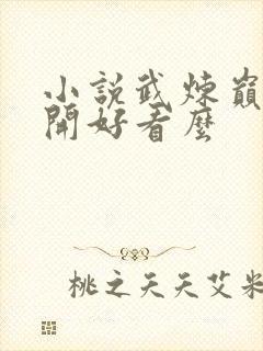 小说武炼巅峰杨开好看么