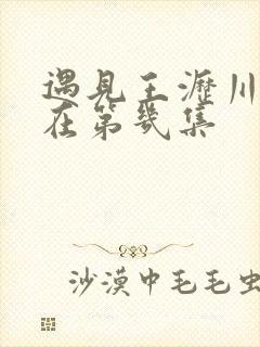 遇见王沥川床戏在第几集