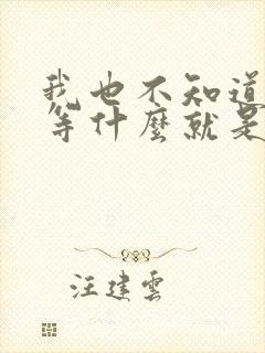 我也不知道我在等什么就是想再等等