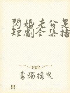 闪婚老公是豪门短剧全集播放