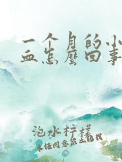 一个月的小猫尿血怎么回事