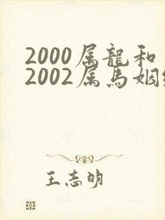 2000属龙和2002属马姻缘怎么样
