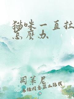 猫咪一直拉软便怎么办