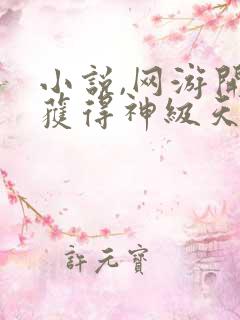 小说,网游开局获得神级天赋