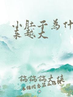 小肚子为什么越来越大