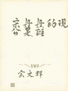 宋丹丹的现任老公是谁