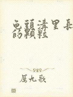 龟头沟里长白色的颗粒