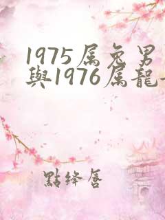 1975属兔男与1976属龙女相配吗