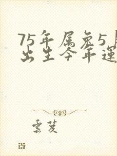 75年属兔5月出生今年运气