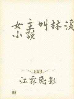 女主叫林溪月的小说