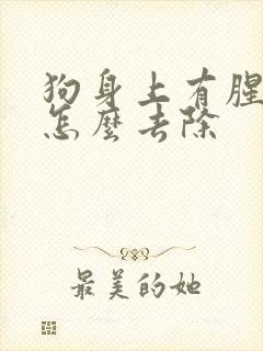 狗身上有腥味儿怎么去除