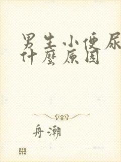 男生小便尿疼是什么原因