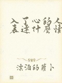 入了心的人歌词表达什么情感