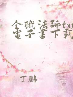 全职法师txt电子书下载