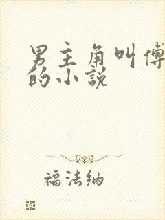 男主角叫傅西洲的小说