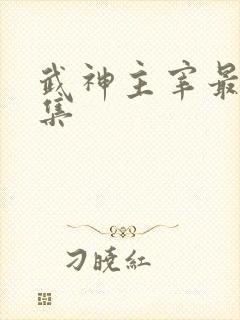 武神主宰最新一集