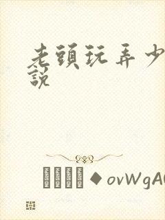 老头玩弄少妇小说