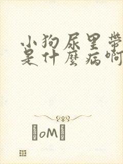 小狗尿里带点血是什么病啊