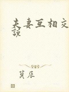 夫妻互相交换小说